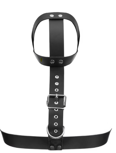 BDSM Leder Kopfharness für Zwangshaltung
