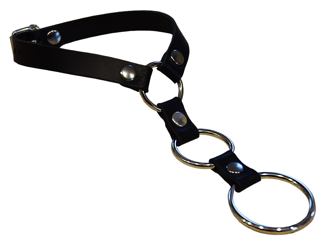 Sexy BDSM Halsband