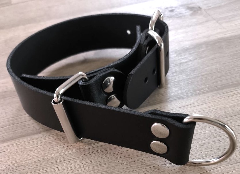 BDSM Würgehalsband Dressurhalsband mit D-Ring