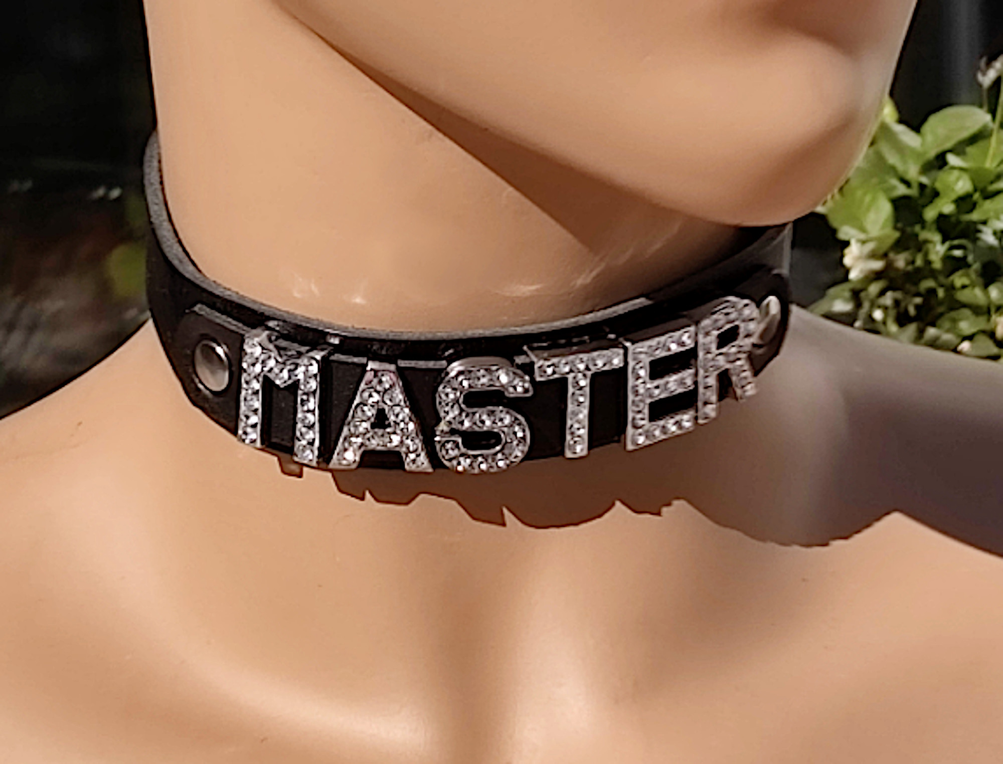 BDSM Collar / Slave, Master or Mistress