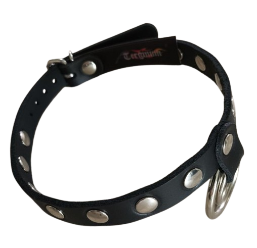 Sexy BDSM Halsband, Nietenhalsband