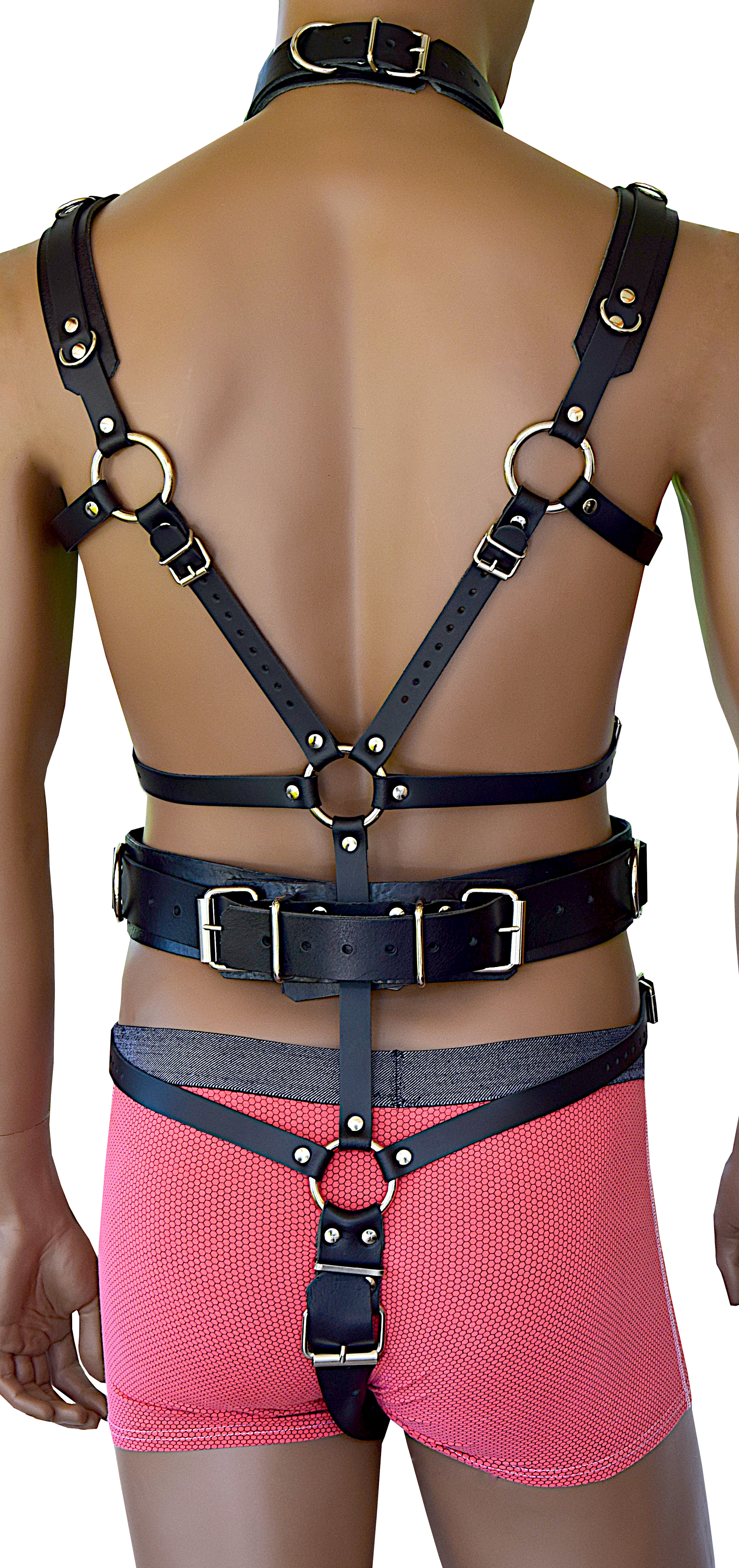 Premium BDSM Training Geschirr Harness Pony Play