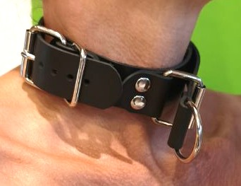 BDSM Würgehalsband Dressurhalsband mit D-Ring