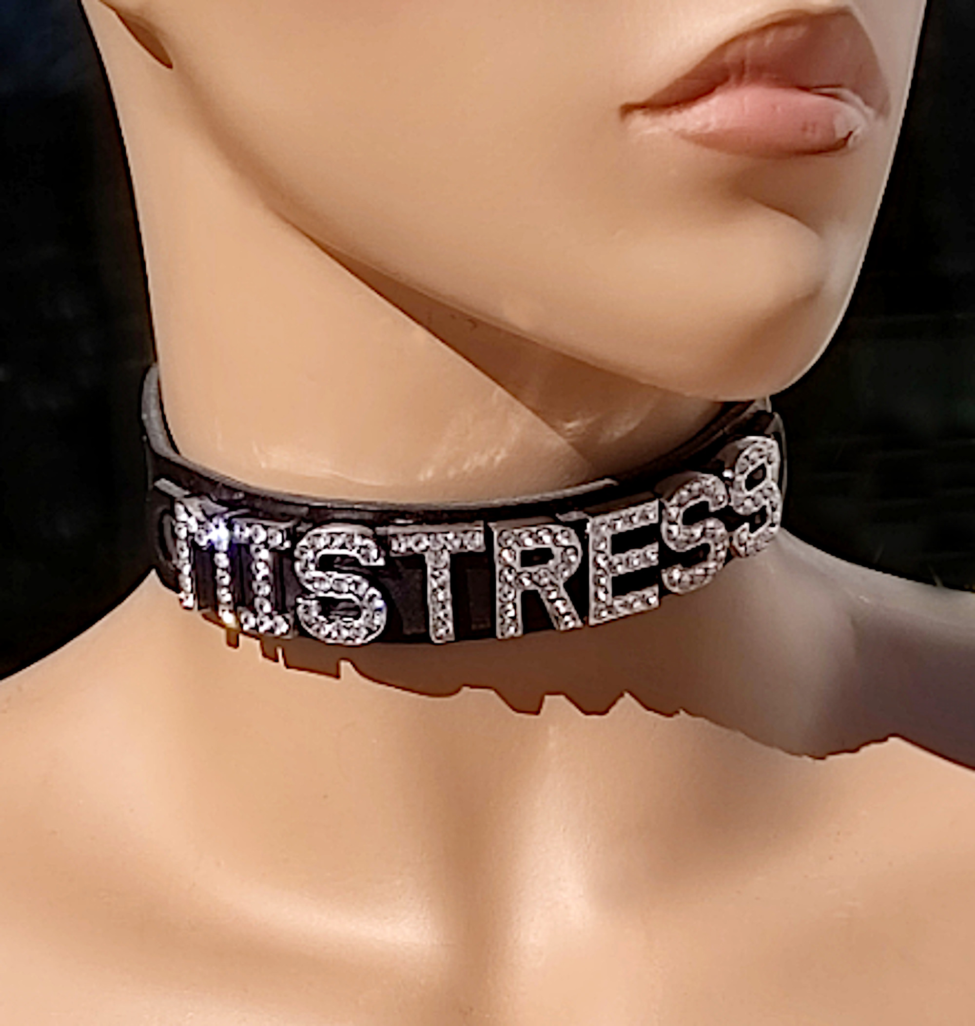 BDSM Collar / Slave, Master or Mistress