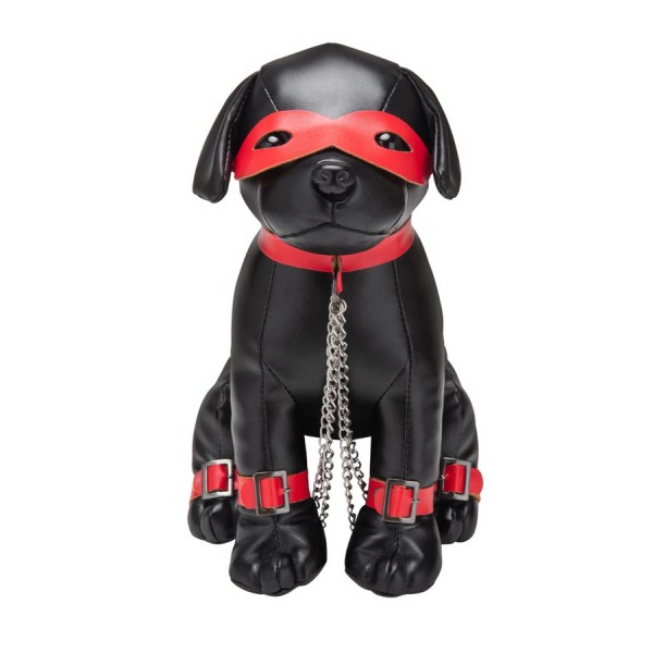 BDSM Welpchen Hund mit Halsband, Ketten und Augenmaske