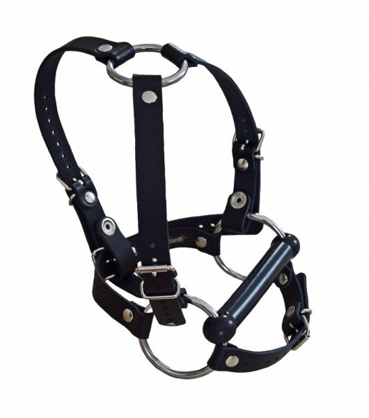 Exclusiv TERGINUM Head Harness Mouth Gag PONY
