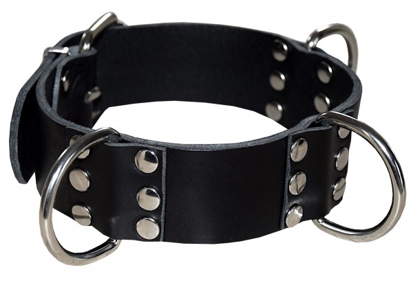 Extrem robust BDSM Bondage Leather Collar