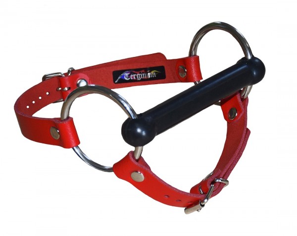 Premium Leather Snaffle with rubber gag