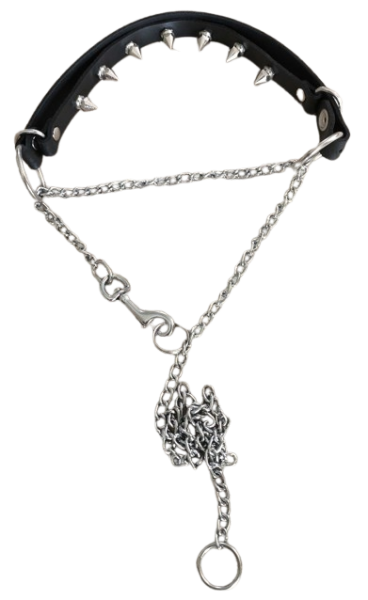 Terginum Strict Discipline Collar – Removable Spike Inlay